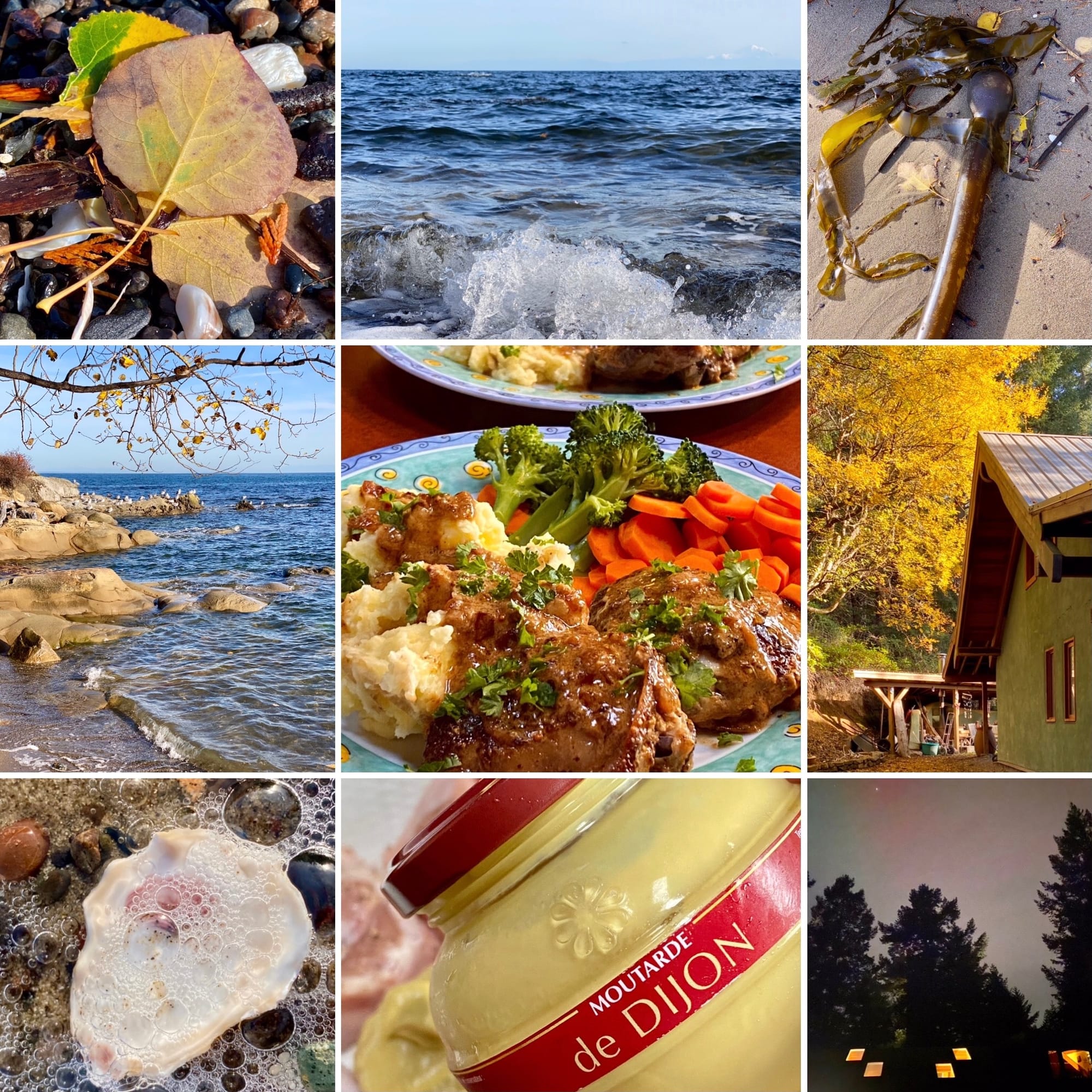 Terrill Welch by herself - issue #36 Quiet Drama in a Live-Work Space