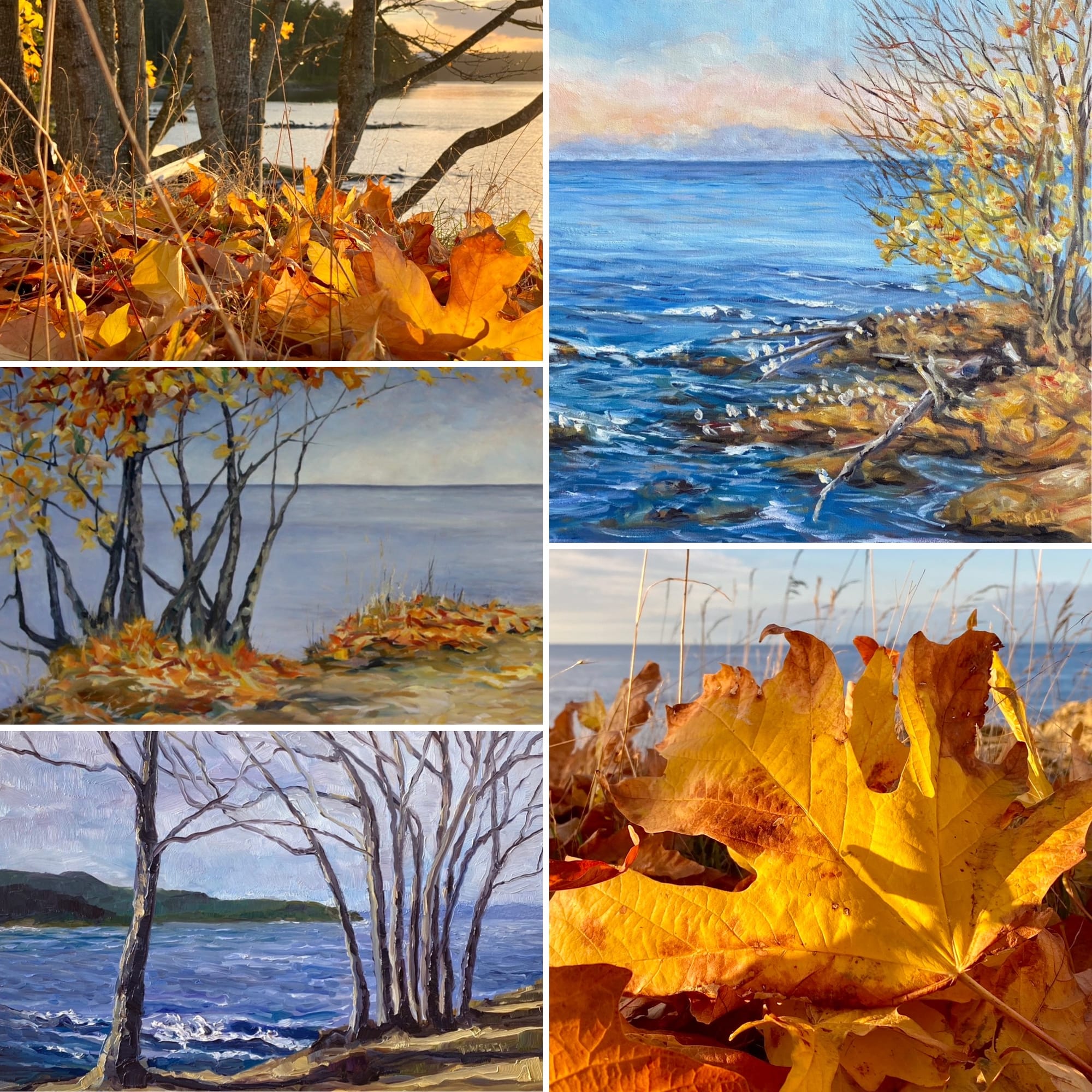 Terrill Welch by herself - issue #36 Quiet Drama in a Live-Work Space