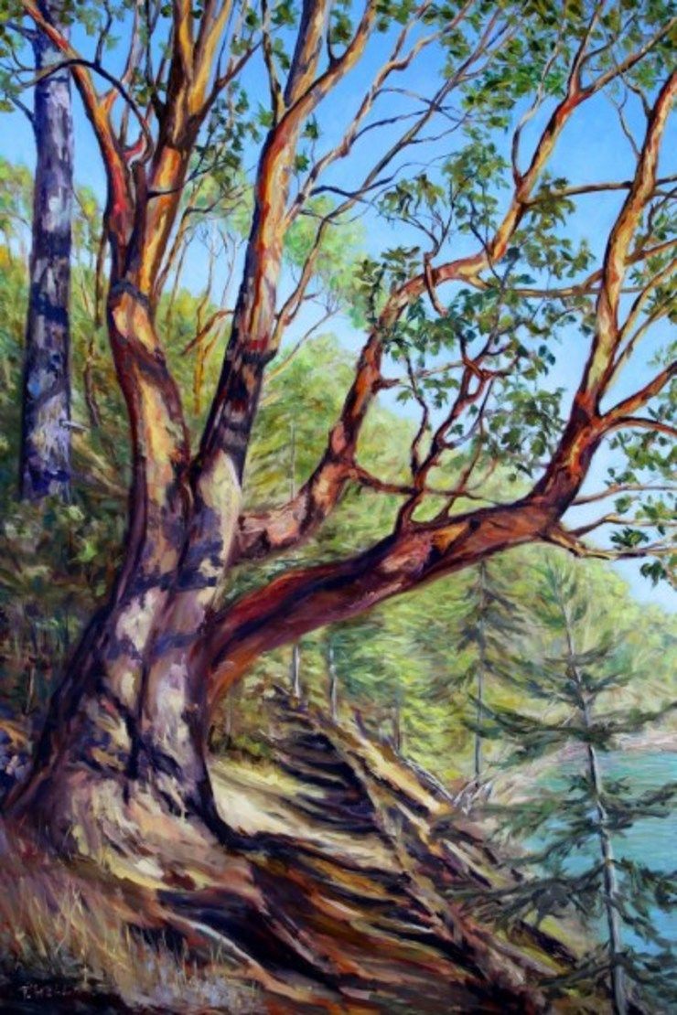Storytelling Arbutus Tree Bennett Bay Mayne Island | Artwork Archive