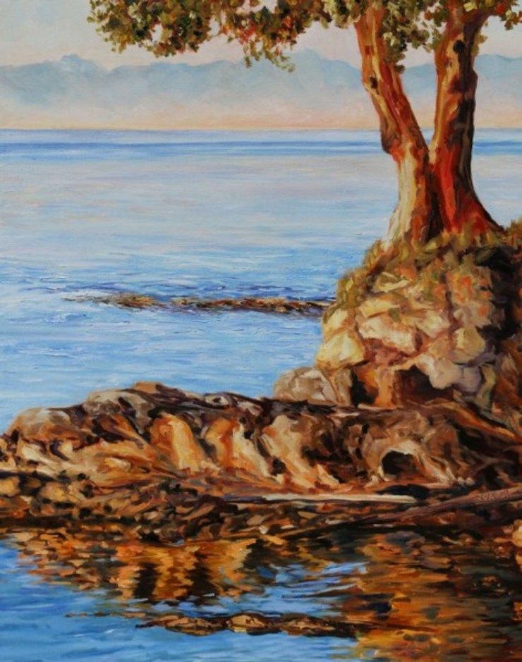 Just Before Sunset Mayne Island BC  by Terrill Welch | Artwork Archive