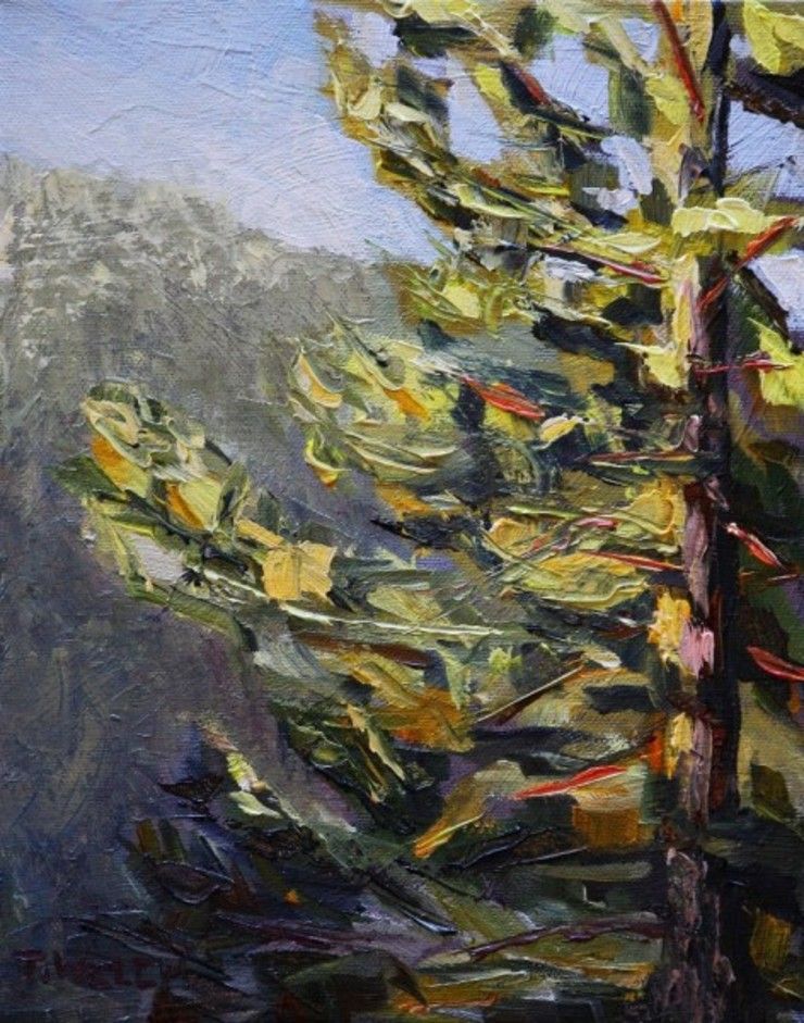 Morning Greets Fir Tree Study by Terrill Welch | Artwork Archive