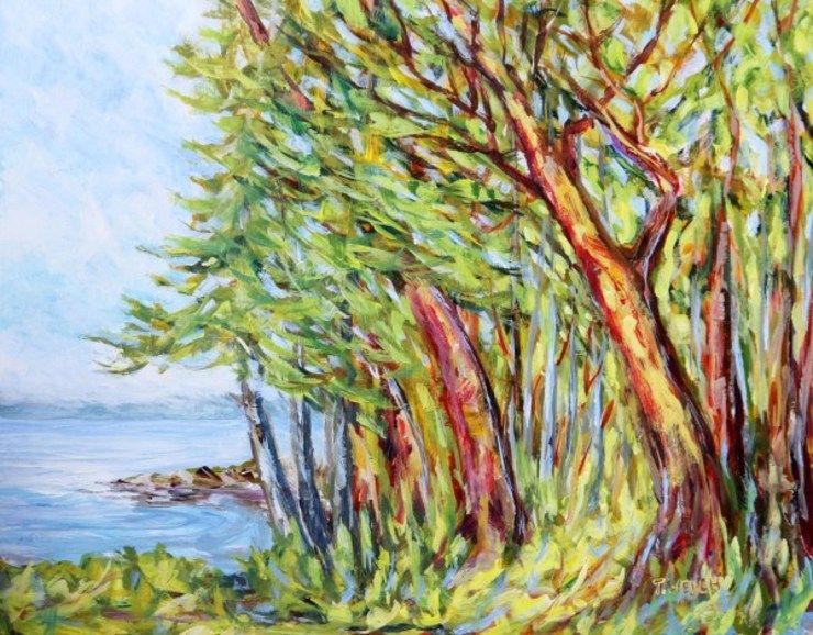 Arbutus Trees near Entrance to Active Pass by | Artwork Archive