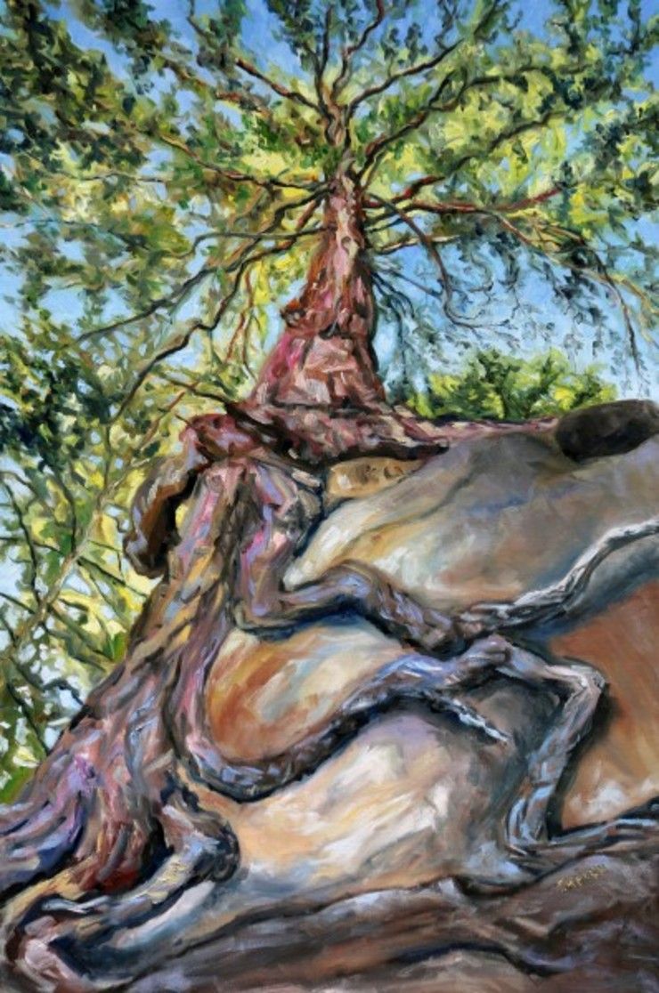 Standing below the old fir at Tribune Bay by Terrill | Artwork Archive