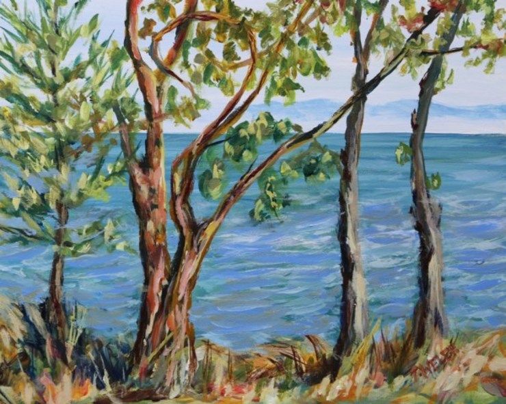 Through the Trees Isabella Point by Terrill Welch | Artwork Archive