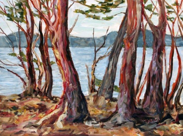 Arbutus Tree Morning St John’s Point study by | Artwork Archive