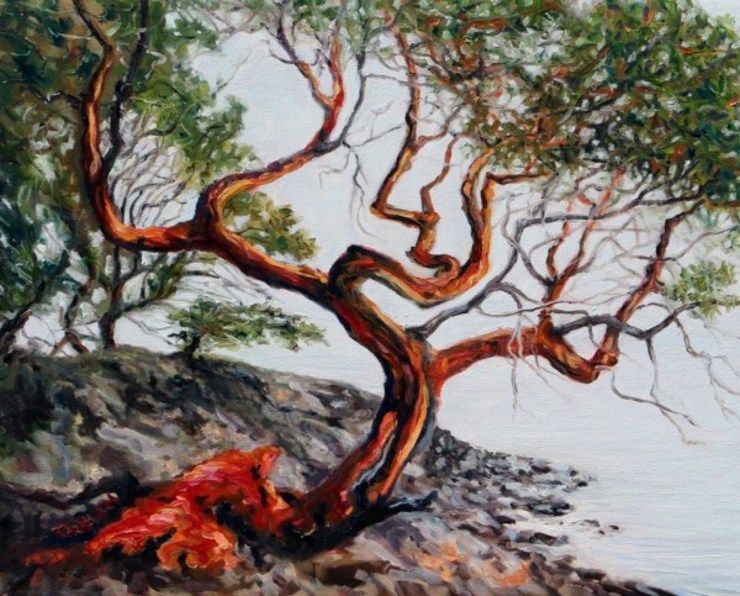 Arbutus Tree in the fog St. John's Point by Terrill | Artwork Archive