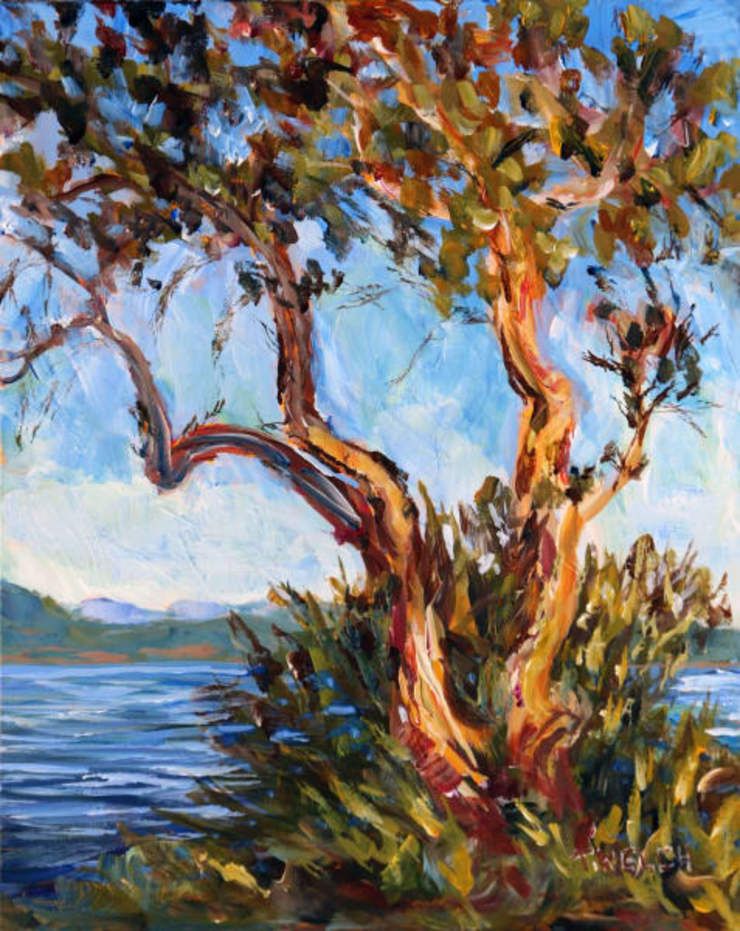 Arbutus Over Sansum Narrows Salt Spring Island by | Artwork Archive