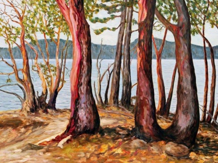 Morning With Arbutus Trees by Terrill Welch | Artwork Archive