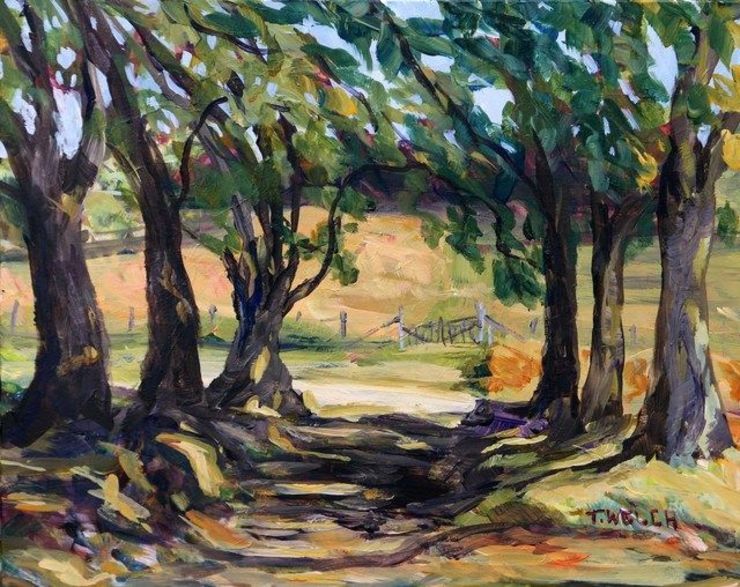 Terrill Welch | Maple Tree Edged Summer Morning (2020) | Available for Sale | Artsy