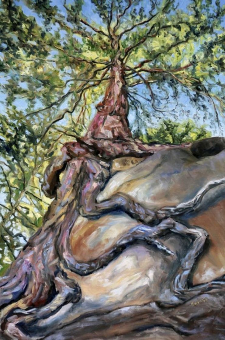 Terrill Welch | Standing below the old fir at Tribune Bay (2019) | Available for Sale | Artsy