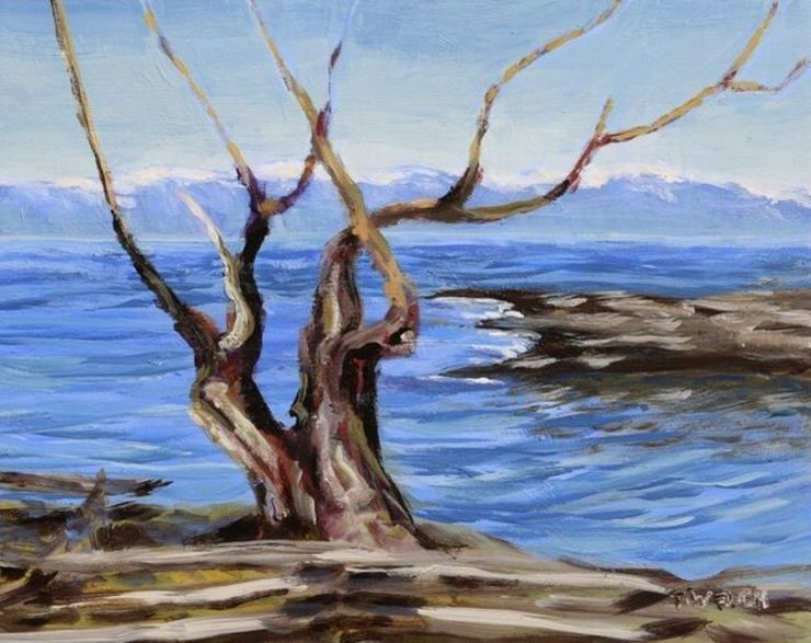 Terrill Welch | Arbutus Trunks Against the Salish Sea (2021) | Available for Sale | Artsy