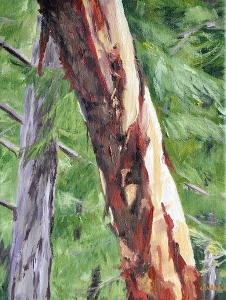 Jody Waldie | Arbutus (2021) | Available for Sale | Artsy