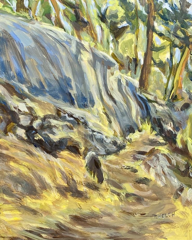 Rock Face Beside the Trail by Terrill Welch | Artwork Archive