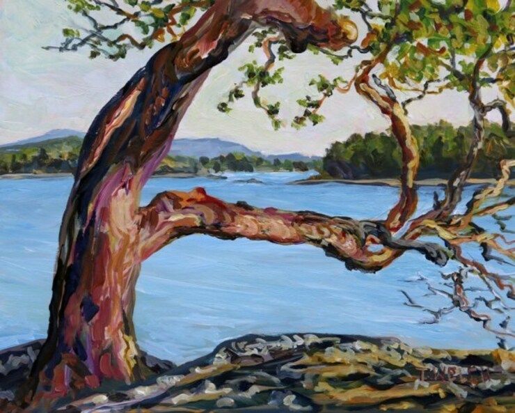 Arbutus Tree with a View by Terrill Welch | Artwork Archive